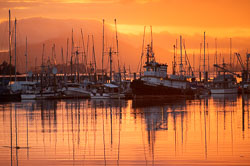 Barbee_210805_Z6_2777