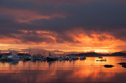 Barbee_210805_Z6_2792