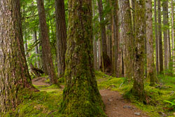 Barbee_220714_Z6_6325-Edit