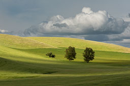 Kook essay palouse with captions