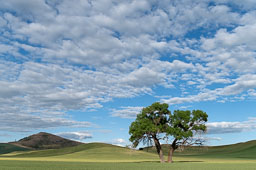 Kook essay palouse with captions