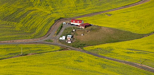 Palouse from the air