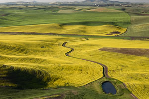 Palouse from the air