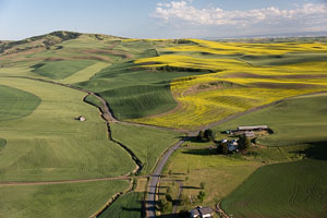 Palouse from the air