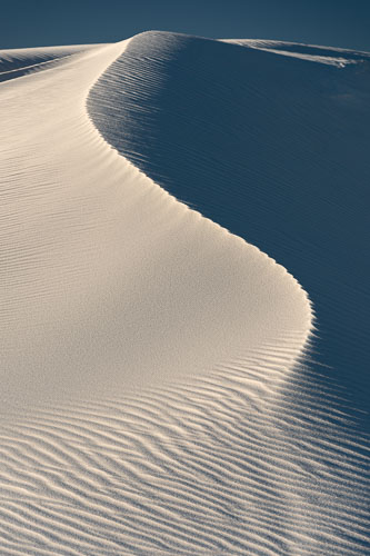 bosque and white sands